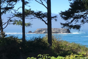 View of Gull Rock from the Red House